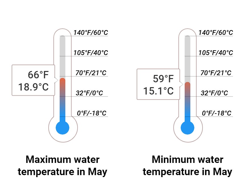 Average Sea temperature